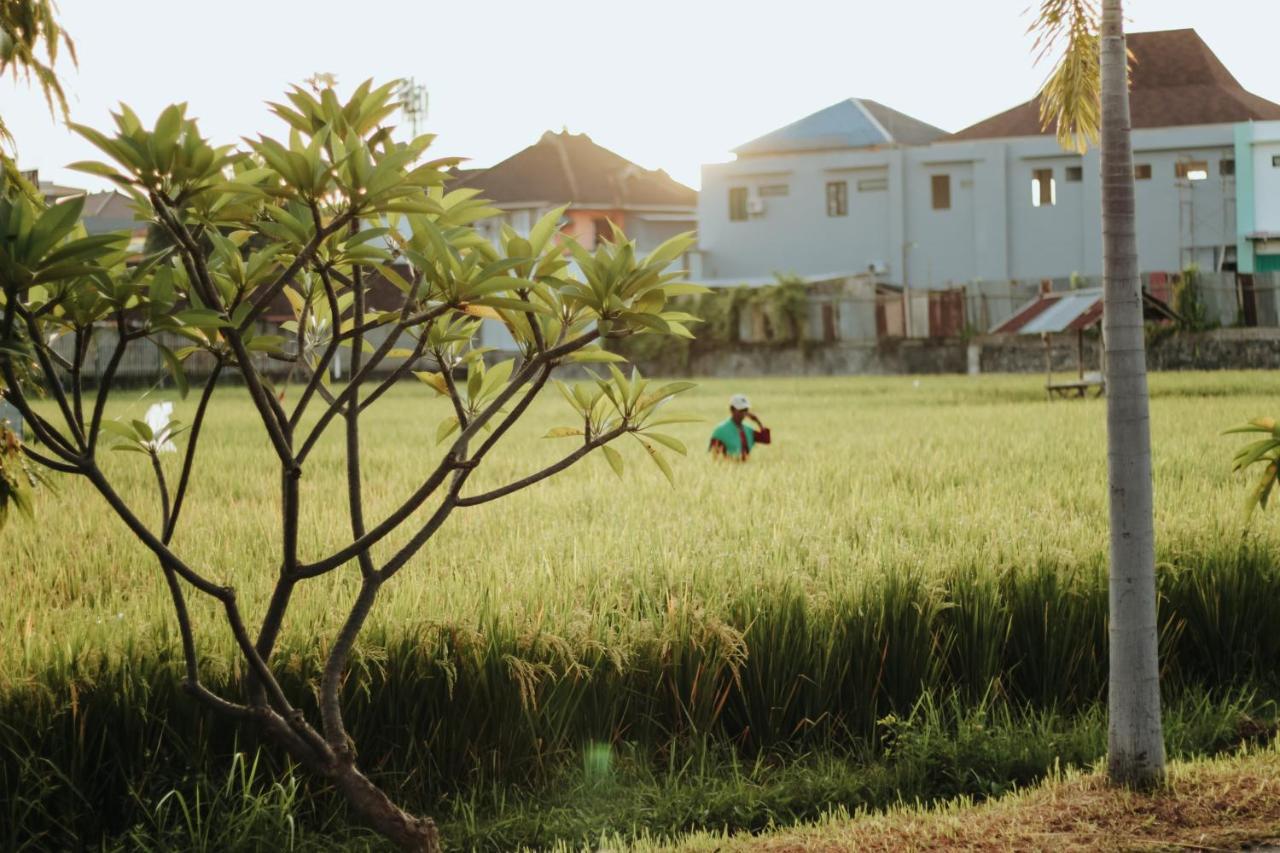 Hotel Mandari Pabean Buleleng Exterior foto